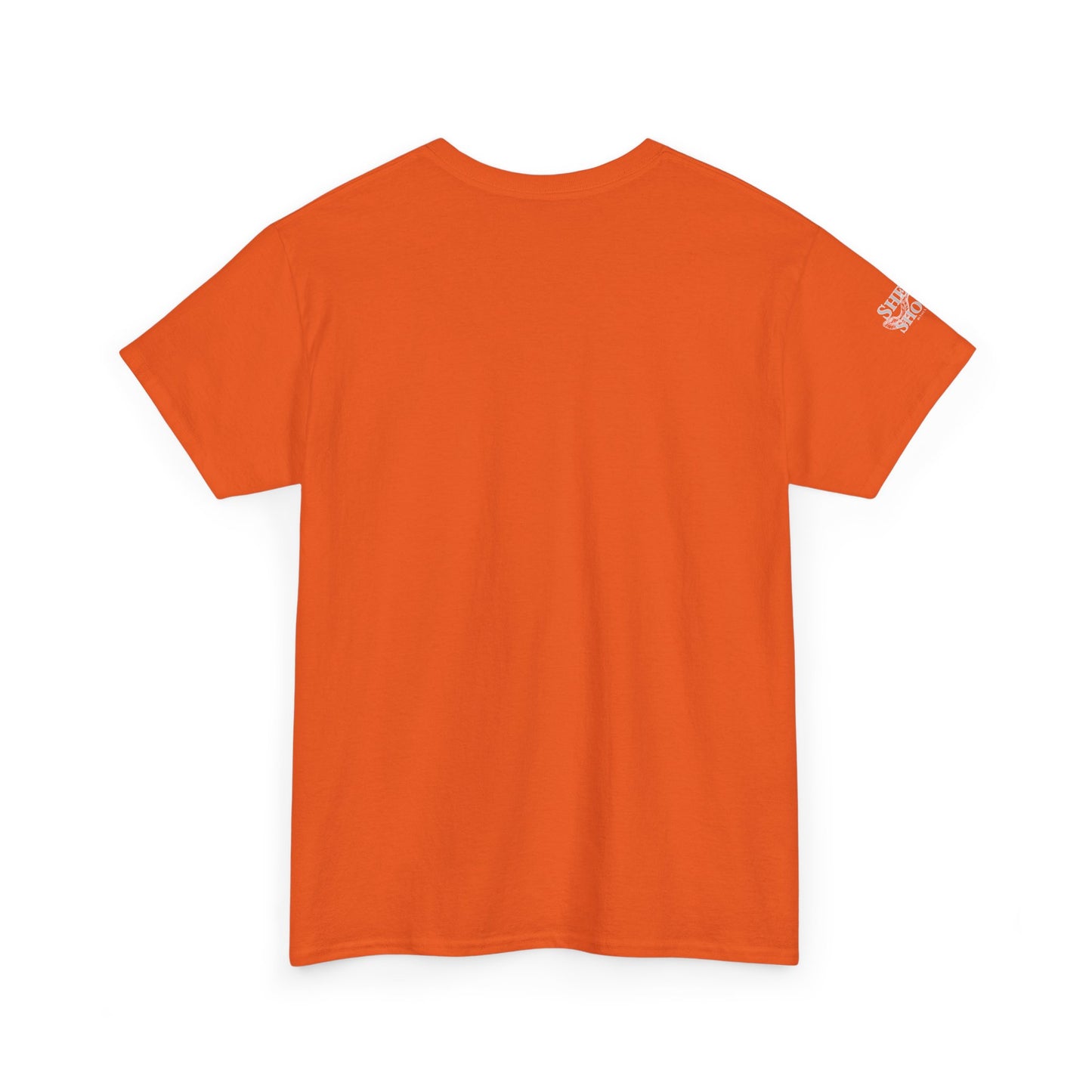 Adults My First Passover T‑Shirt — Seder Matzo & Parsley Pesach Tee