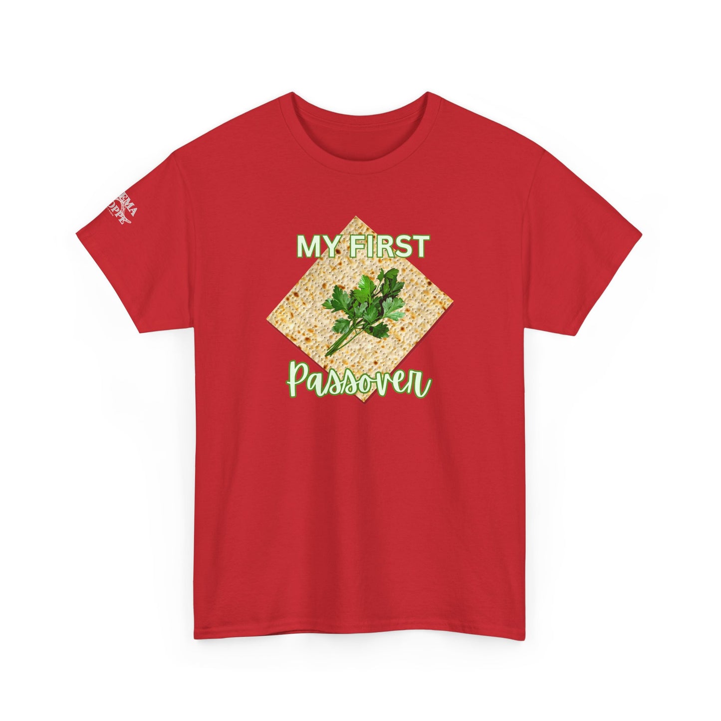 Adults My First Passover T‑Shirt — Seder Matzo & Parsley Pesach Tee