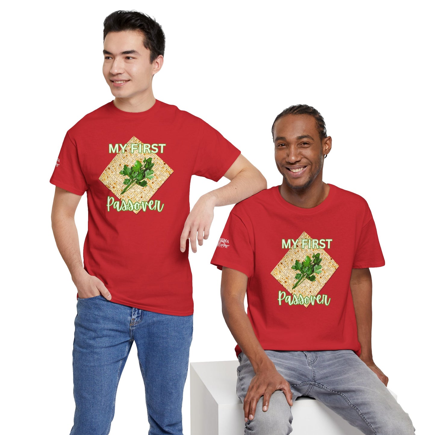 Adults My First Passover T‑Shirt — Seder Matzo & Parsley Pesach Tee