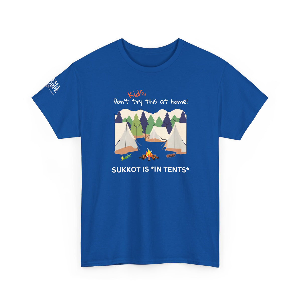 Kids, Don't Try This At Home Sukkot Shirt (dark colors)