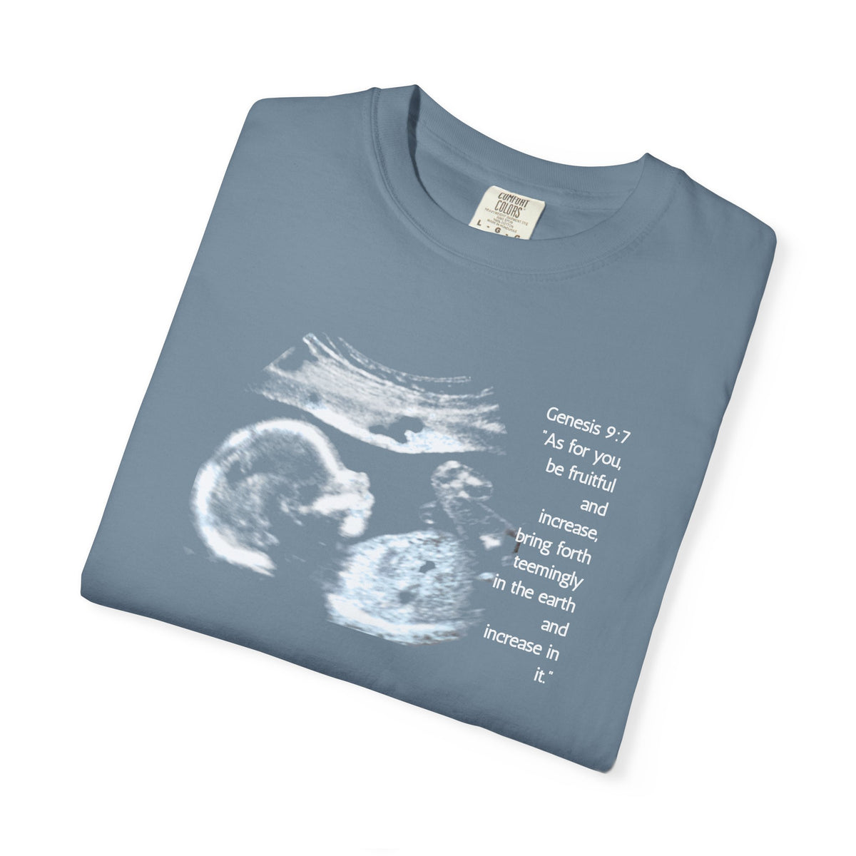 Pregnancy Support Tee - Ultrasound Bible Verse