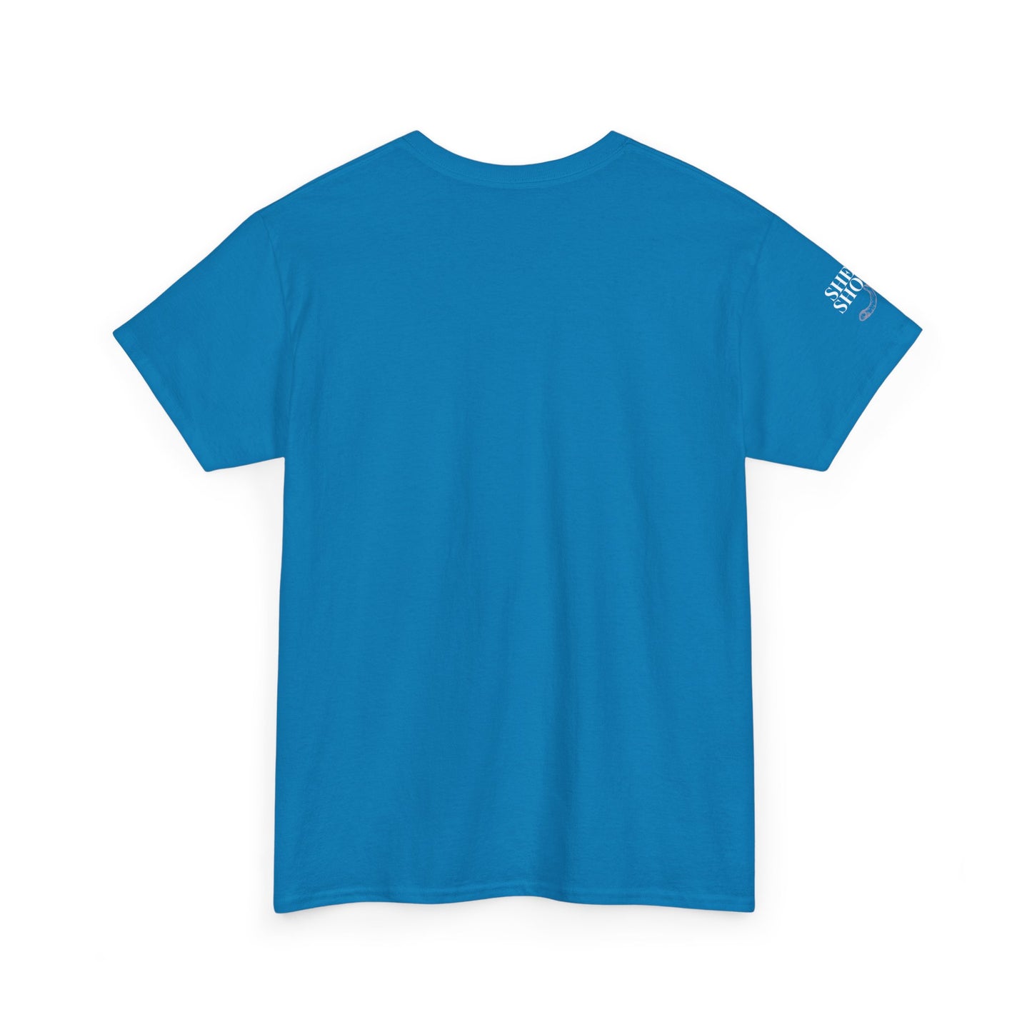 All Things With A Paul Quote Out Of Context Non Inspirational Tee