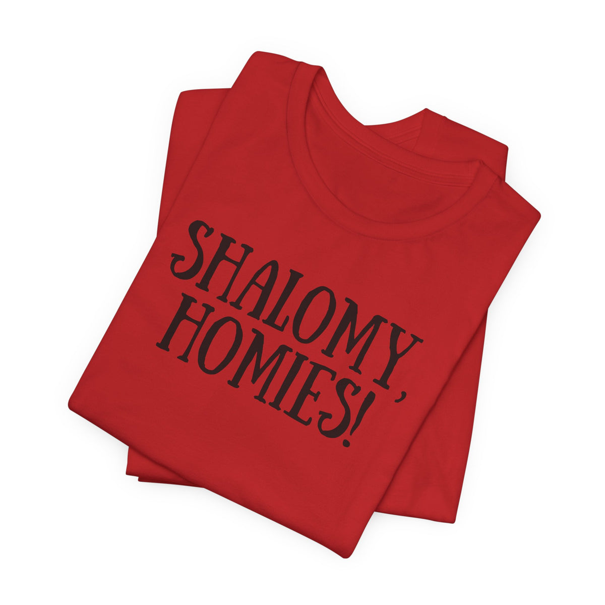 Shalomy Homies Tee - Funny Torah Obervant Greeting T-Shirt (Canada)