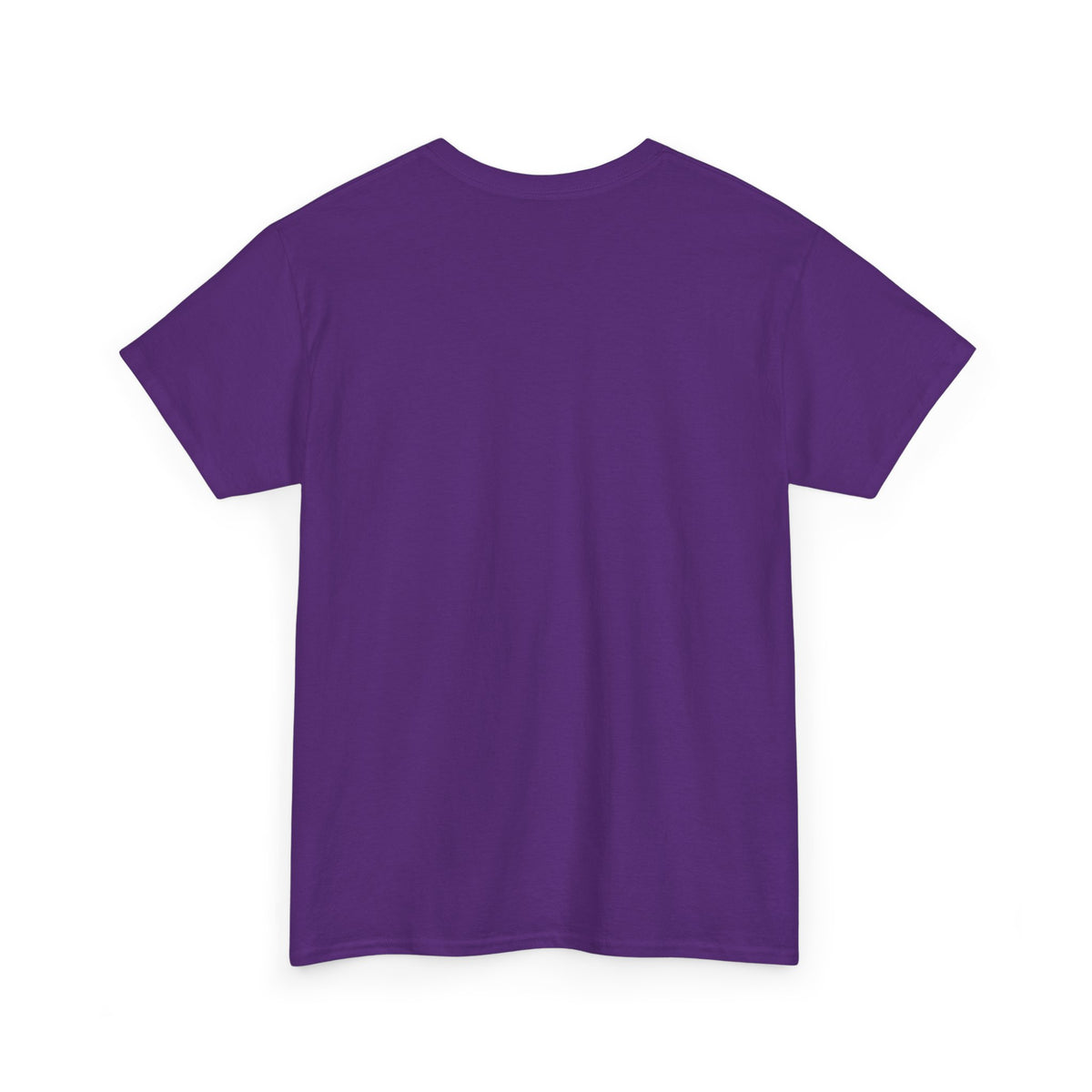 Funny Biblical Context Unisex Tee - "But Paul" T-Shirt