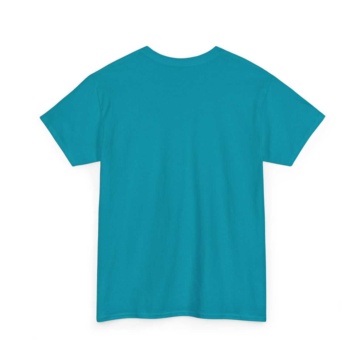 Funny Biblical Context Unisex Tee - "But Paul" T-Shirt