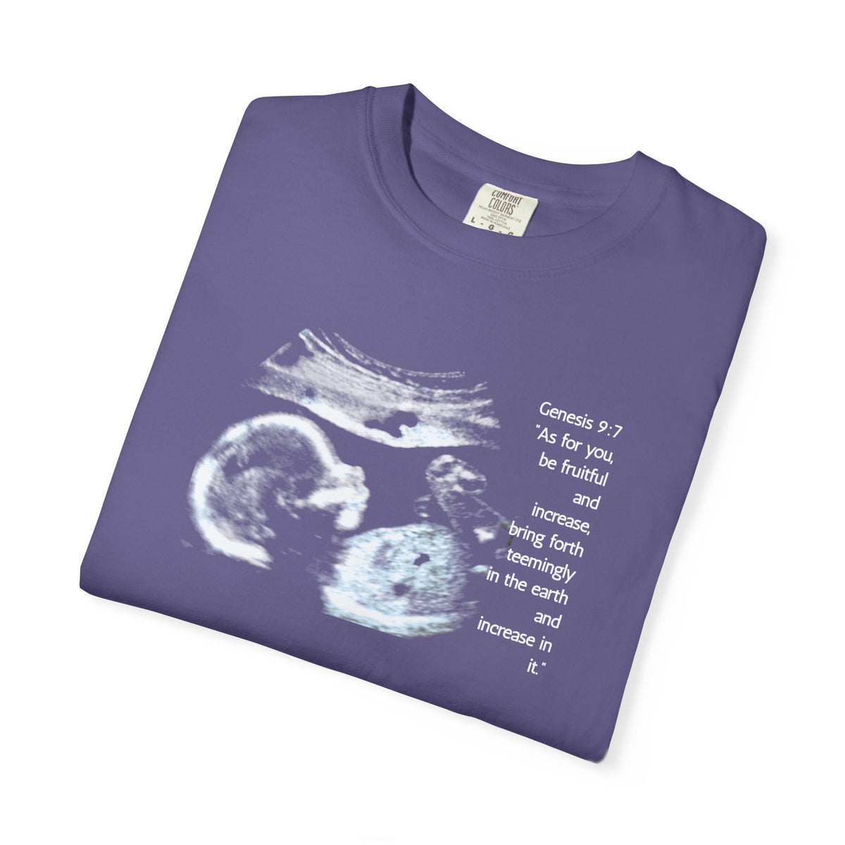 Pregnancy Support Tee - Ultrasound Bible Verse