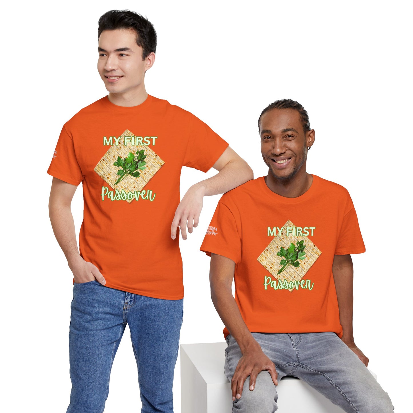 Adults My First Passover T‑Shirt — Seder Matzo & Parsley Pesach Tee