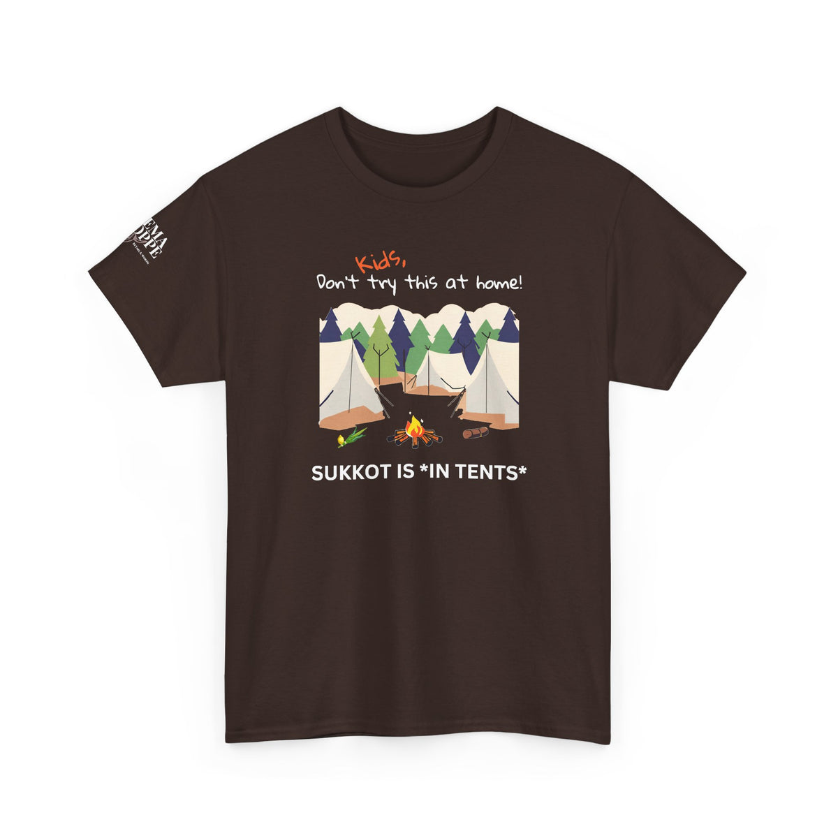 Kids, Don't Try This At Home Sukkot Shirt (dark colors)