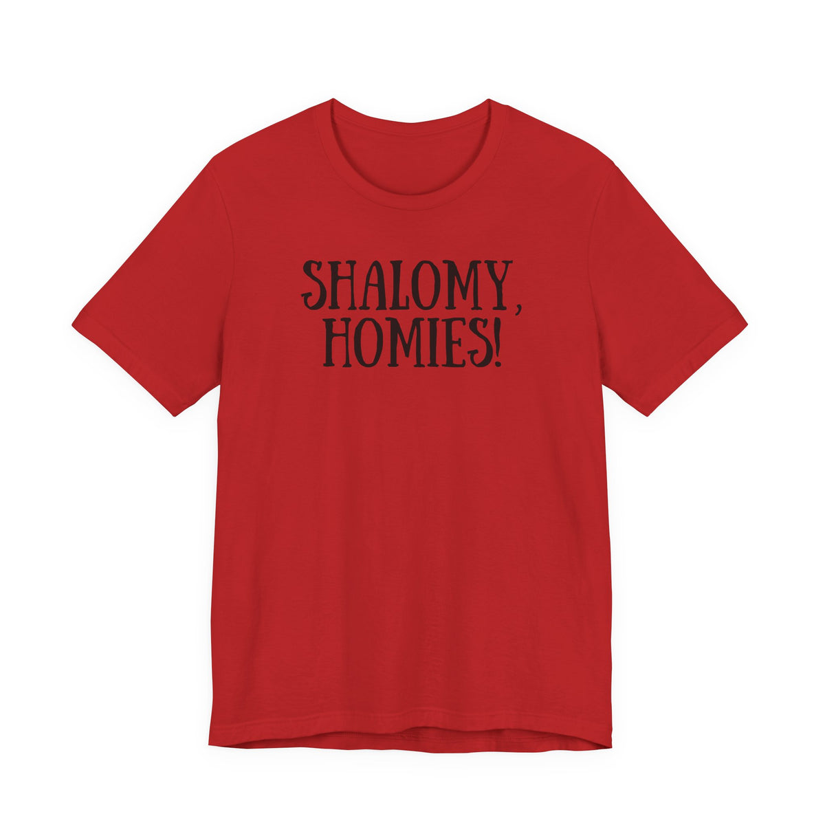 Shalomy Homies Tee - Funny Torah Obervant Greeting T-Shirt (Canada)