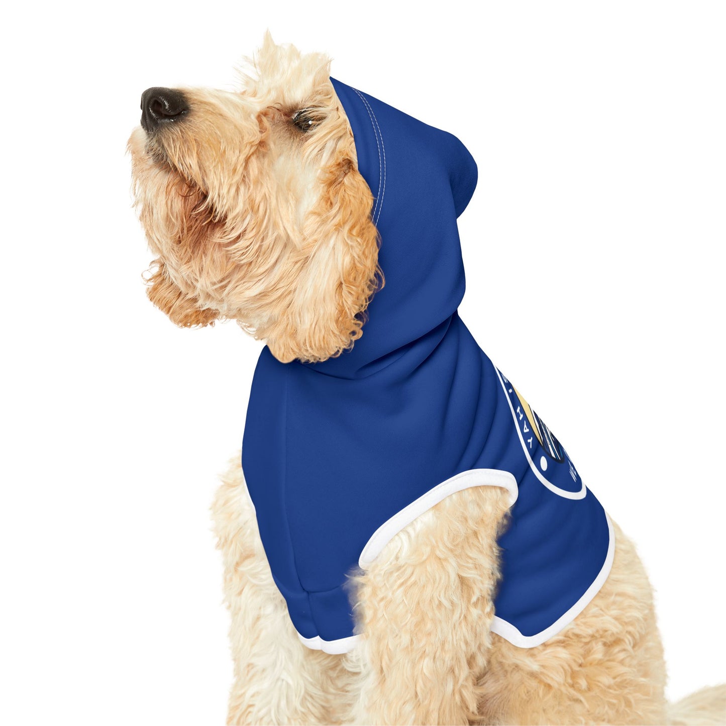 Psalms 46- Cozy Pet Hoodie, Stylish Pet Apparel, Dog Sweater for Winter, Cute Pet Clothing, Shabbat Gear