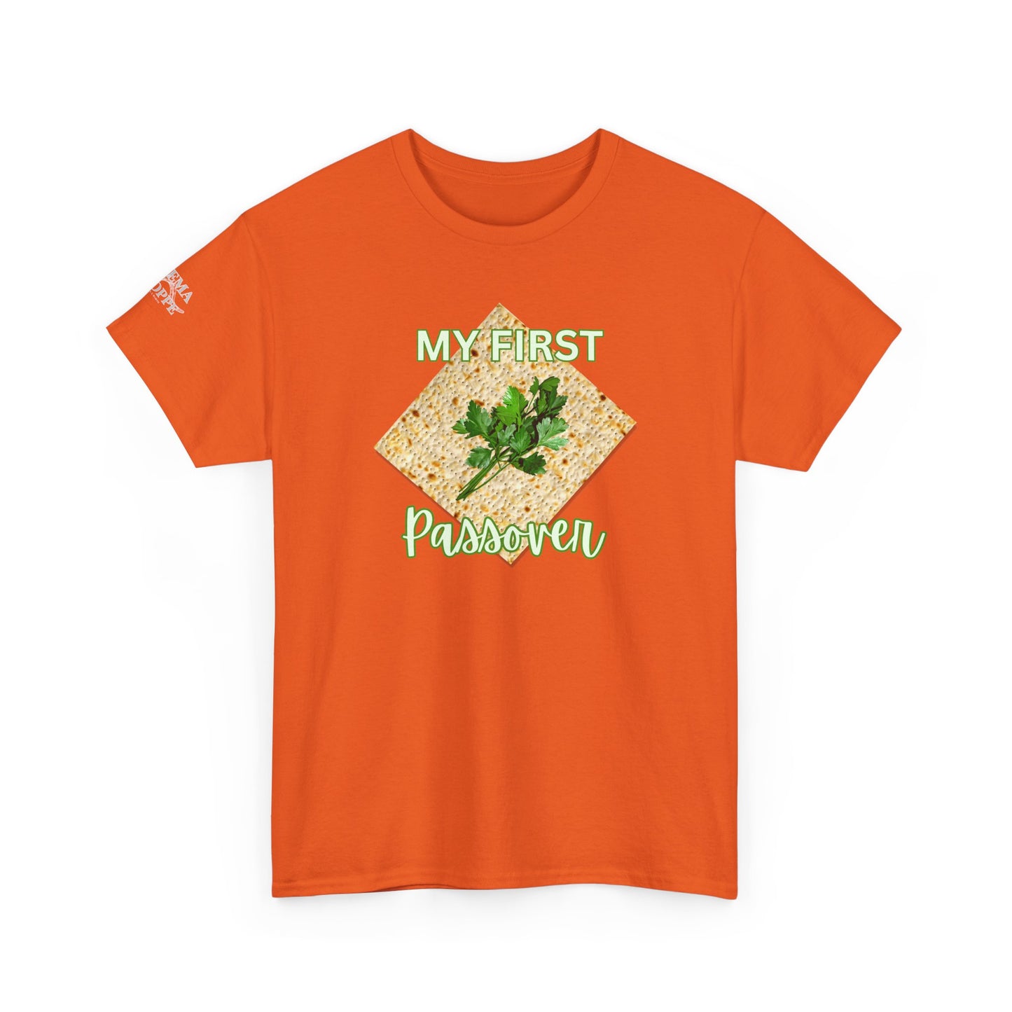 Adults My First Passover T‑Shirt — Seder Matzo & Parsley Pesach Tee