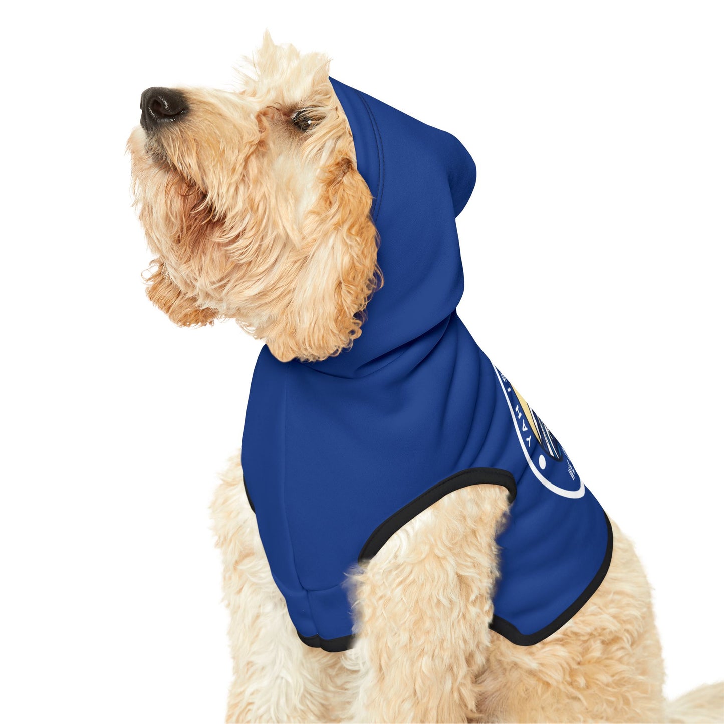 Psalms 46- Cozy Pet Hoodie, Stylish Pet Apparel, Dog Sweater for Winter, Cute Pet Clothing, Shabbat Gear