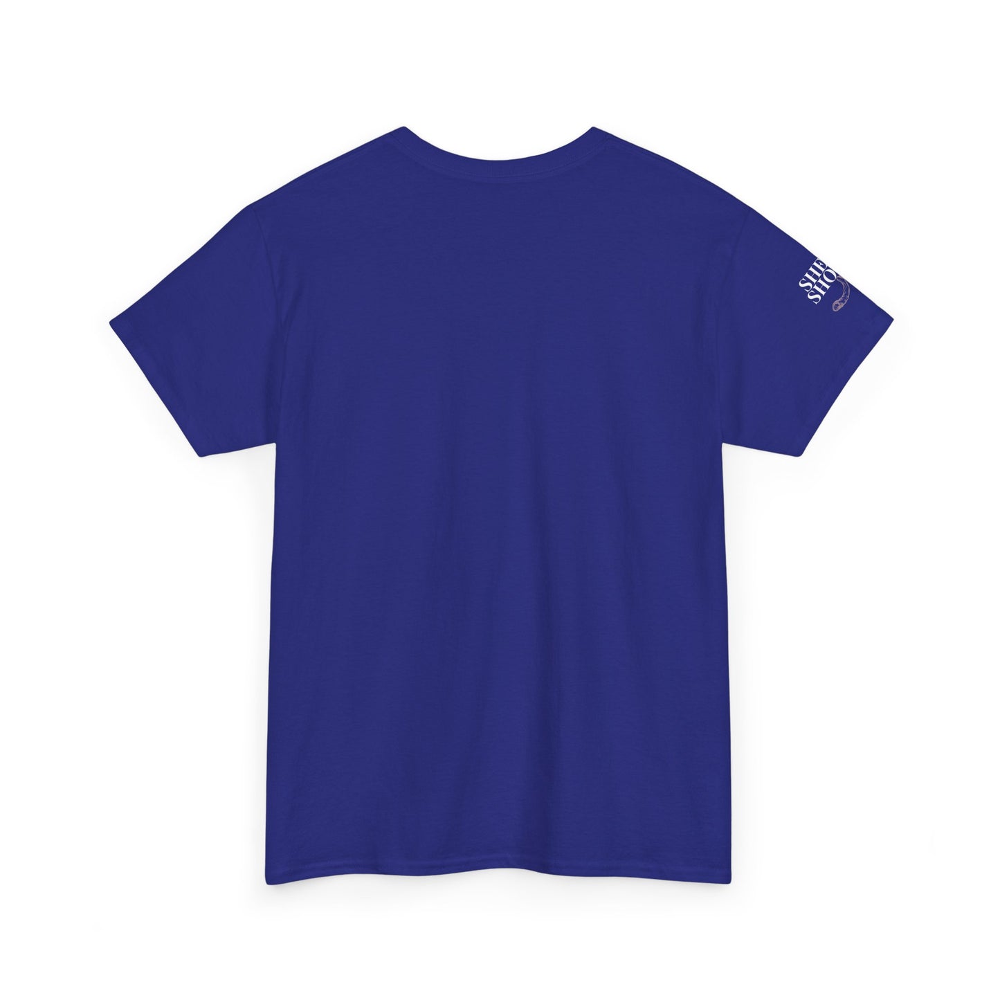 All Things With A Paul Quote Out Of Context Non Inspirational Tee