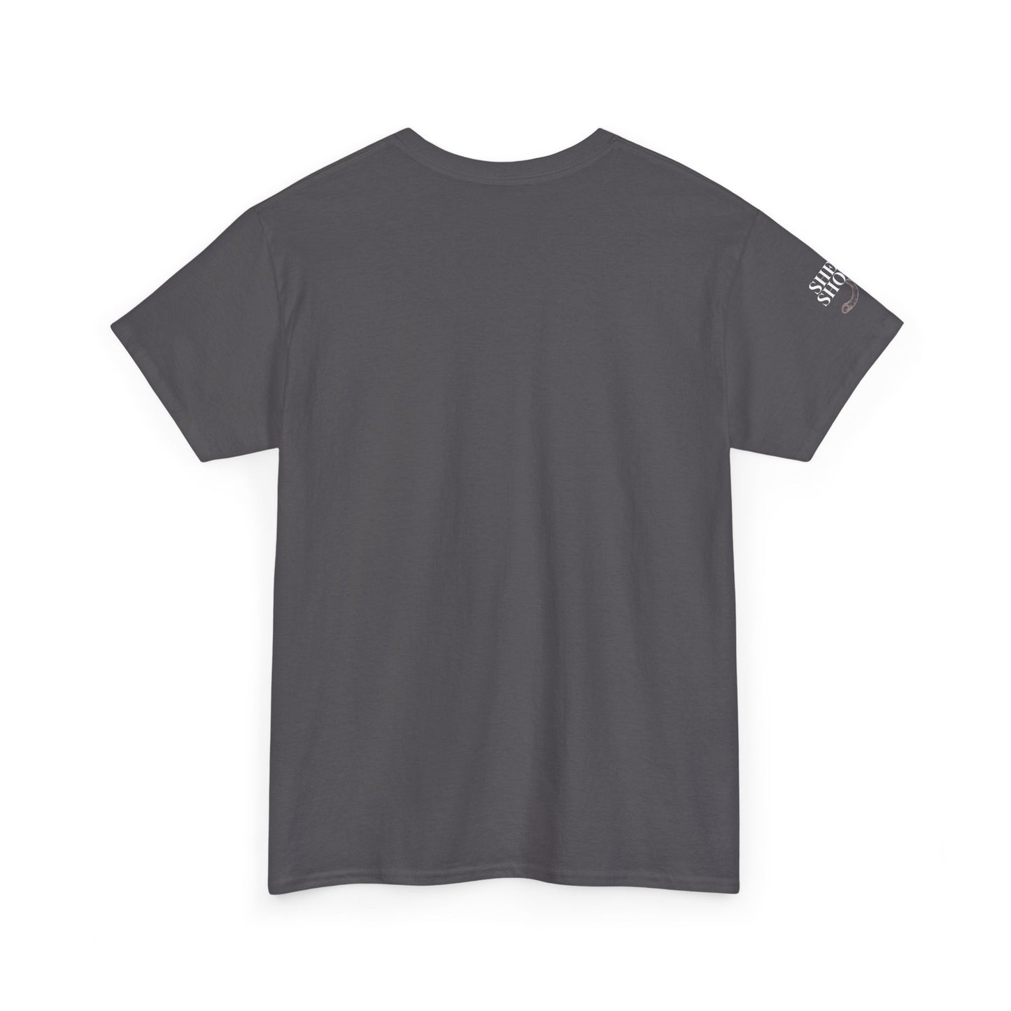 All Things With A Paul Quote Out Of Context Non Inspirational Tee