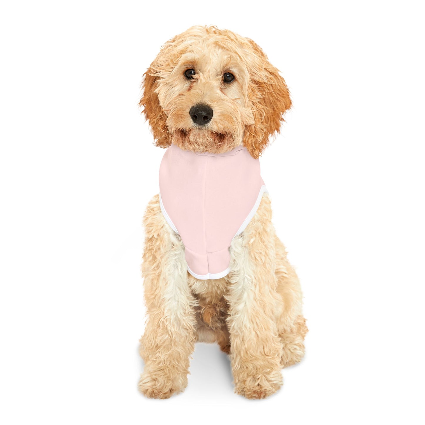 Pet Hoodie- Pink "Proverbs 12:10" Paw Print Bible Verse Dog Hoodie