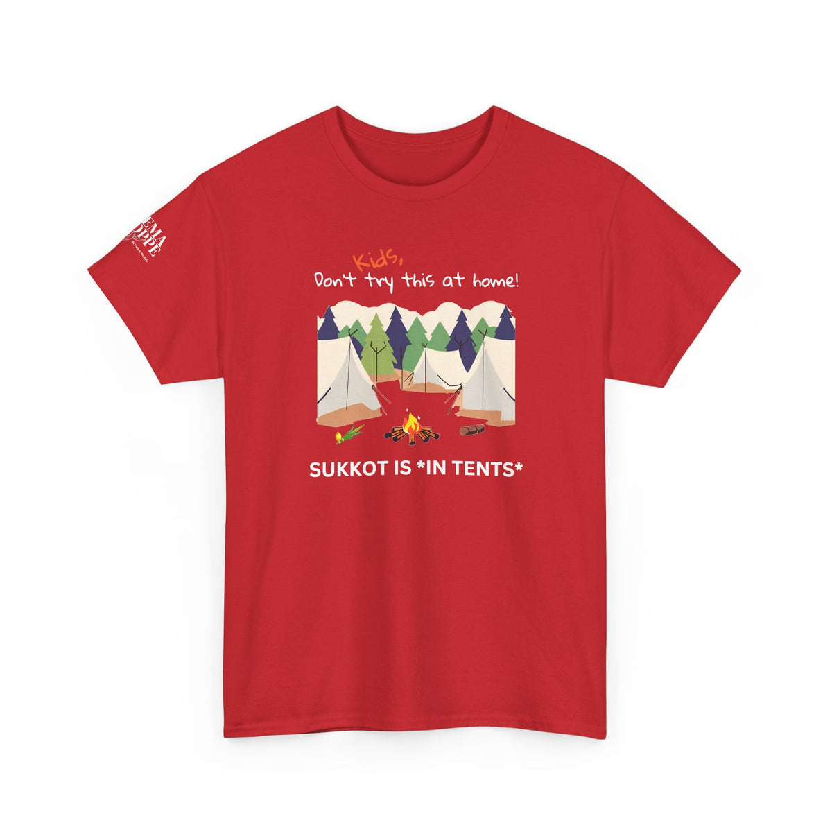 Kids, Don't Try This At Home Sukkot Shirt (dark colors)