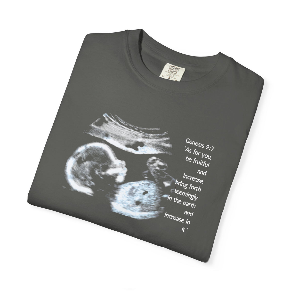 Pregnancy Support Tee - Ultrasound Bible Verse