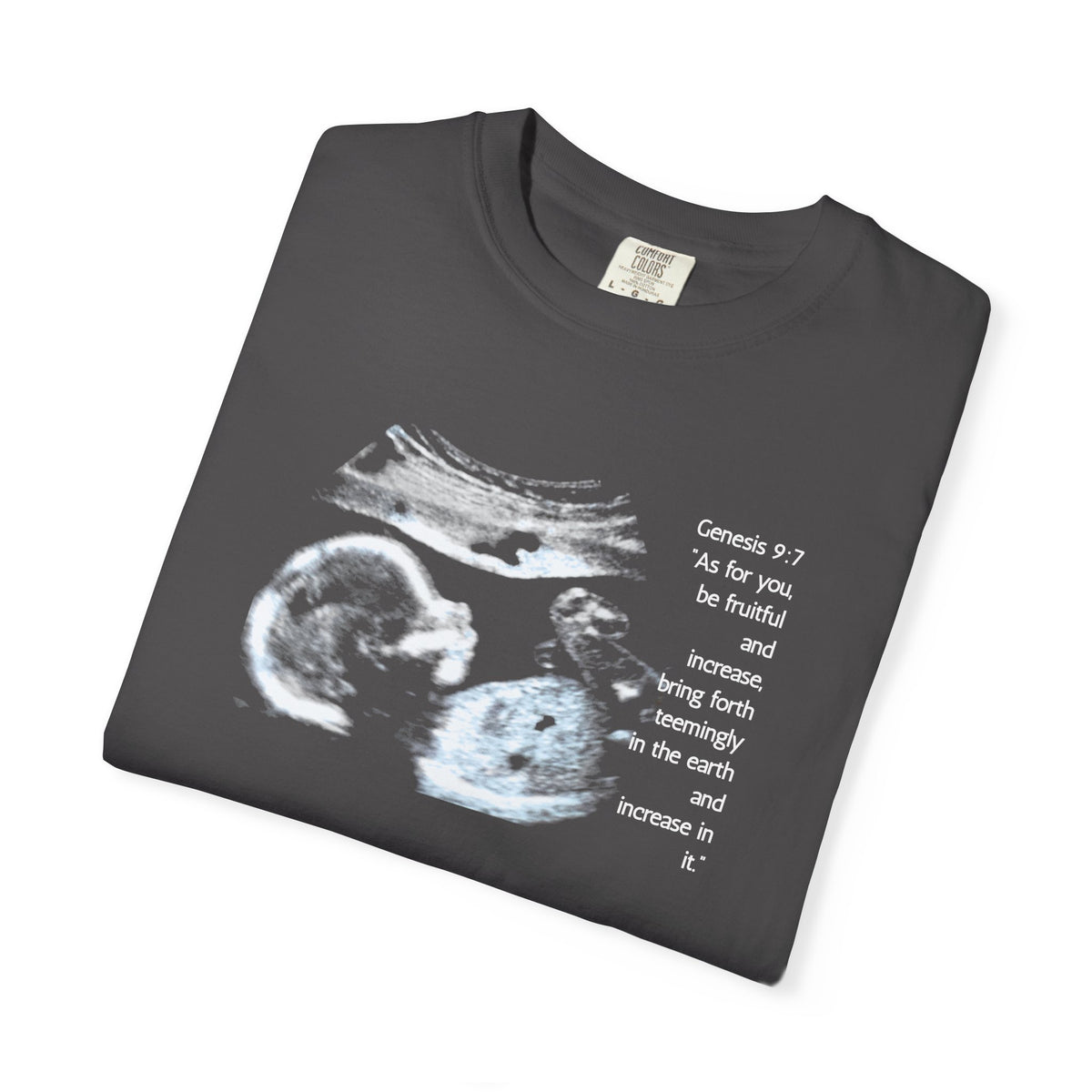 Pregnancy Support Tee - Ultrasound Bible Verse