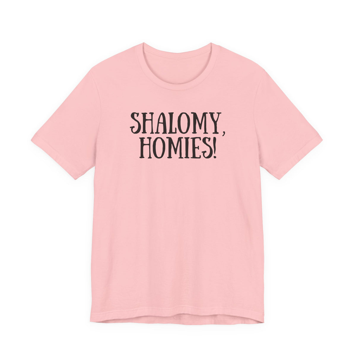 Shalomy Homies Tee - Funny Torah Obervant Greeting T-Shirt (Canada)