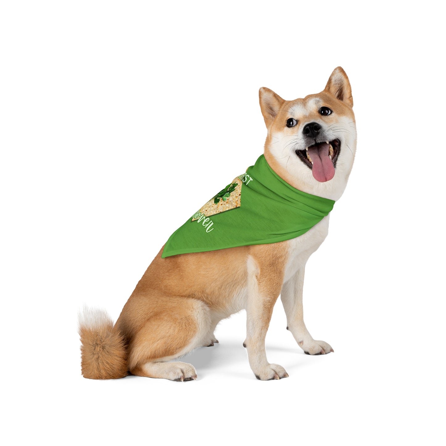Pet Bandana — "My First Passover" Matzah Design, Pesach Unleavened Bread Dog & Cat Bandana