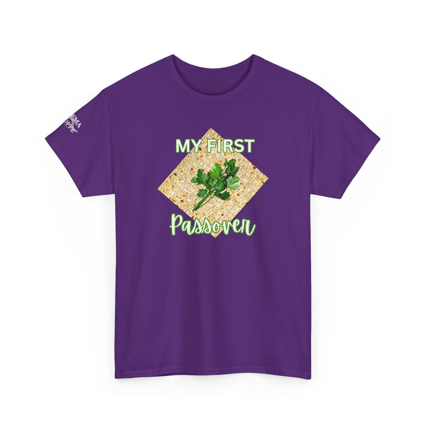 Adults My First Passover T‑Shirt — Seder Matzo & Parsley Pesach Tee