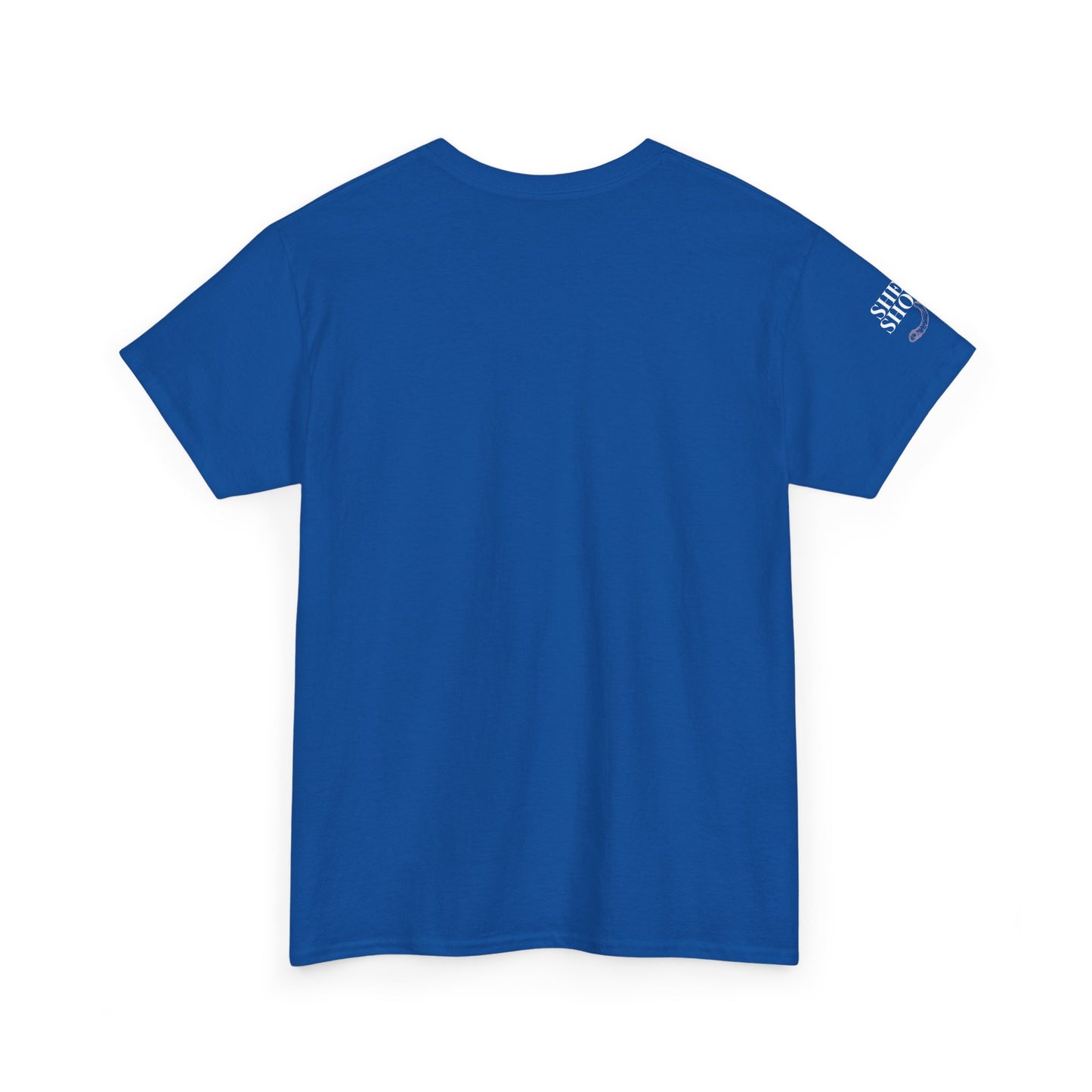 All Things With A Paul Quote Out Of Context Non Inspirational Tee