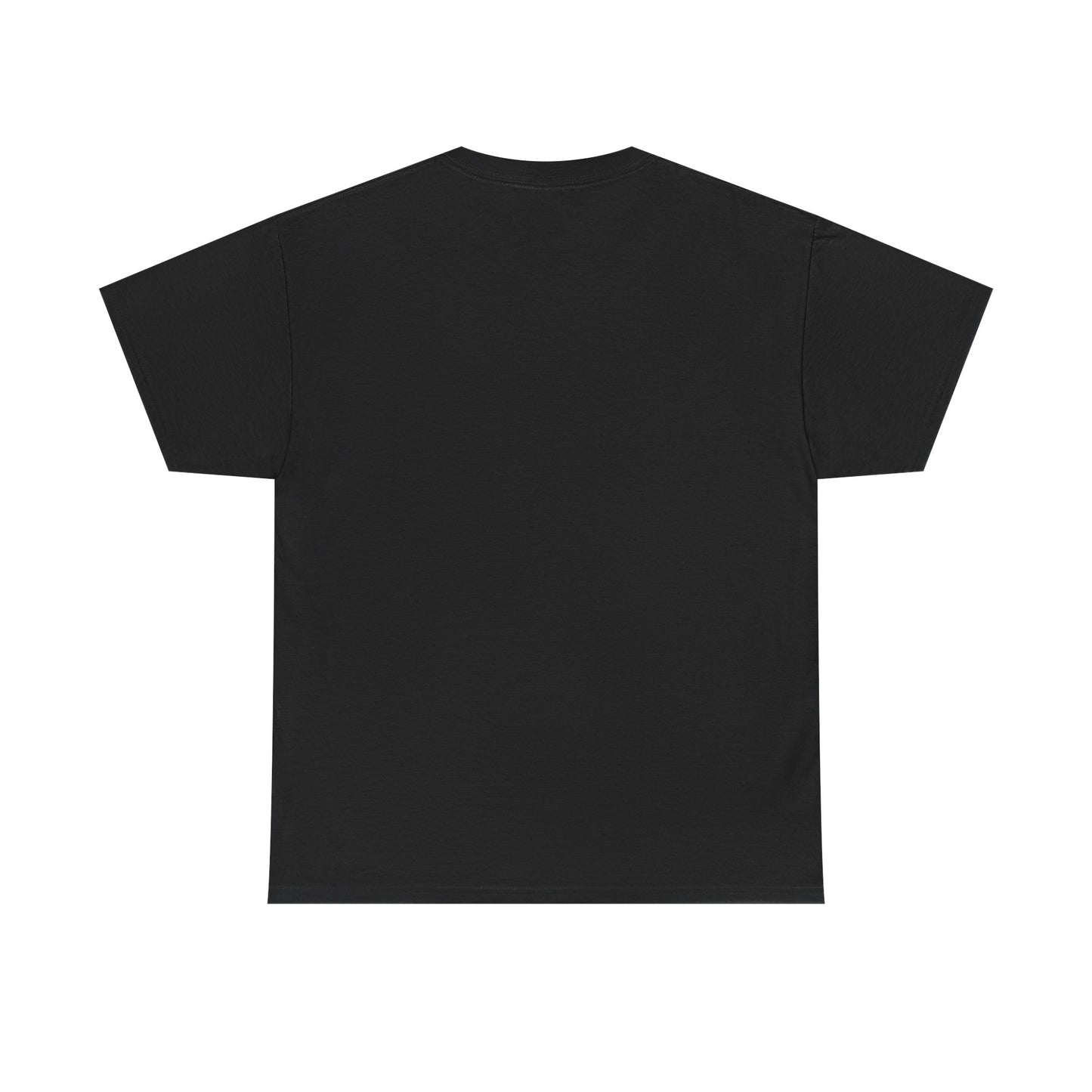 Funny Biblical Context Unisex Tee - "But Paul" T-Shirt