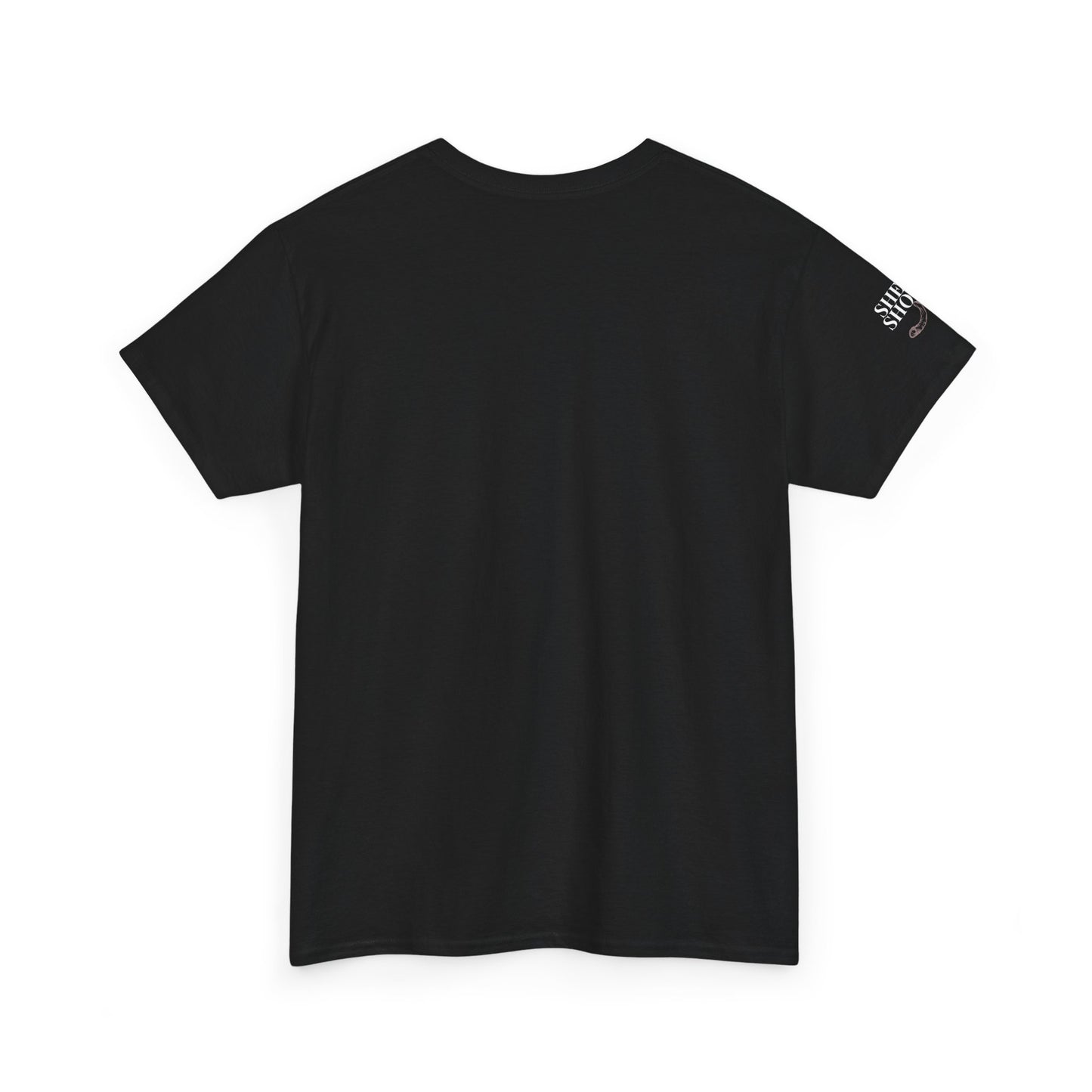 All Things With A Paul Quote Out Of Context Non Inspirational Tee