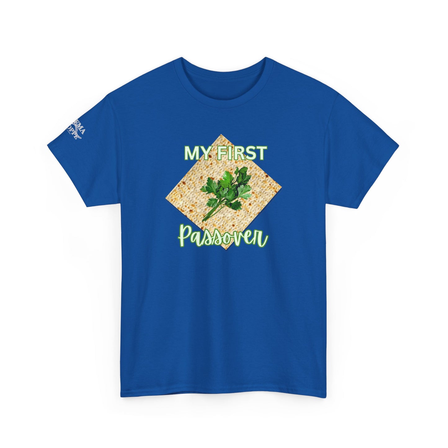Adults My First Passover T‑Shirt — Seder Matzo & Parsley Pesach Tee