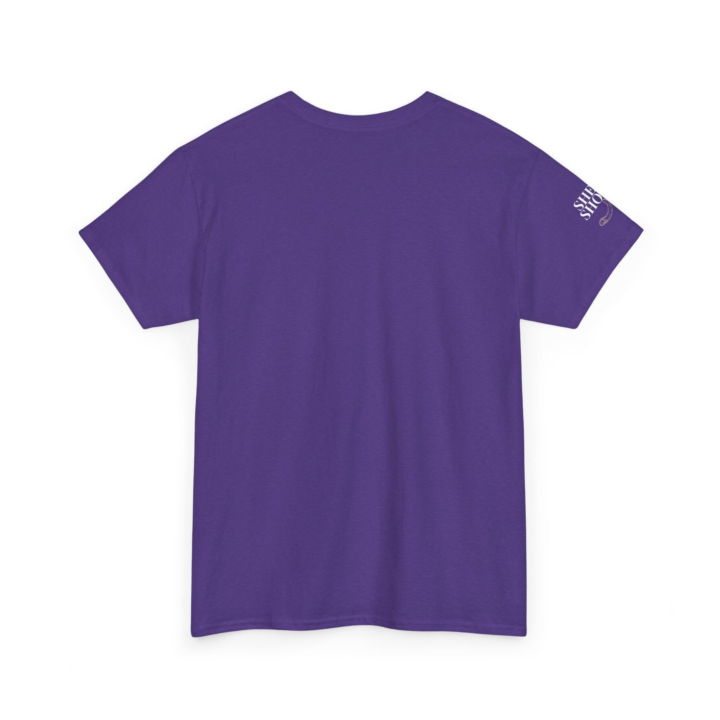 All Things With A Paul Quote Out Of Context Non Inspirational Tee