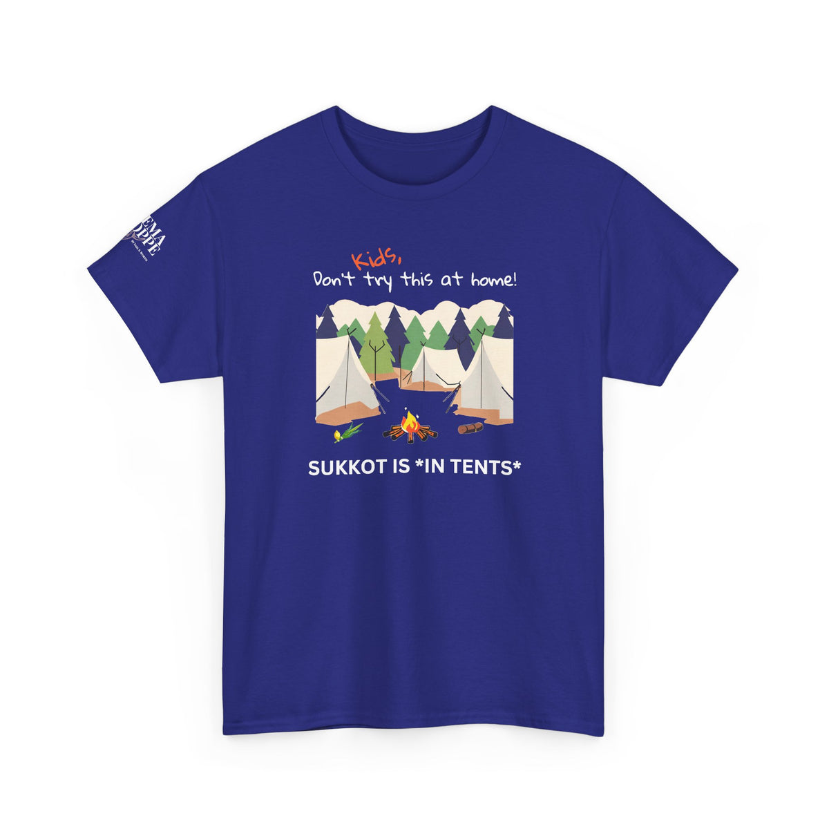 Kids, Don't Try This At Home Sukkot Shirt (dark colors)
