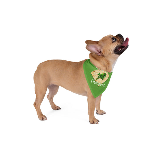 Pet Bandana — "My First Passover" Matzah Design, Pesach Unleavened Bread Dog & Cat Bandana